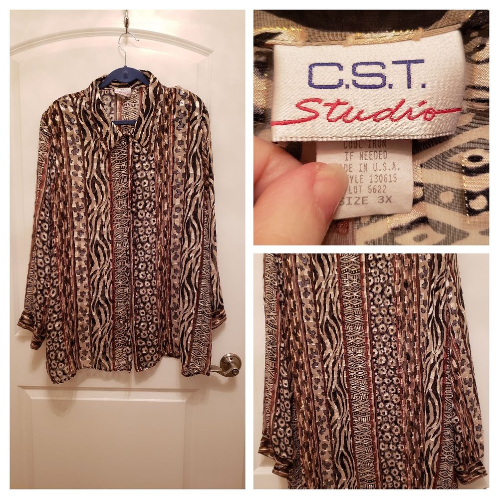 See through long sleeve blouse